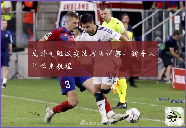 虎扑电脑版安装方法详解，新手入门必看教程